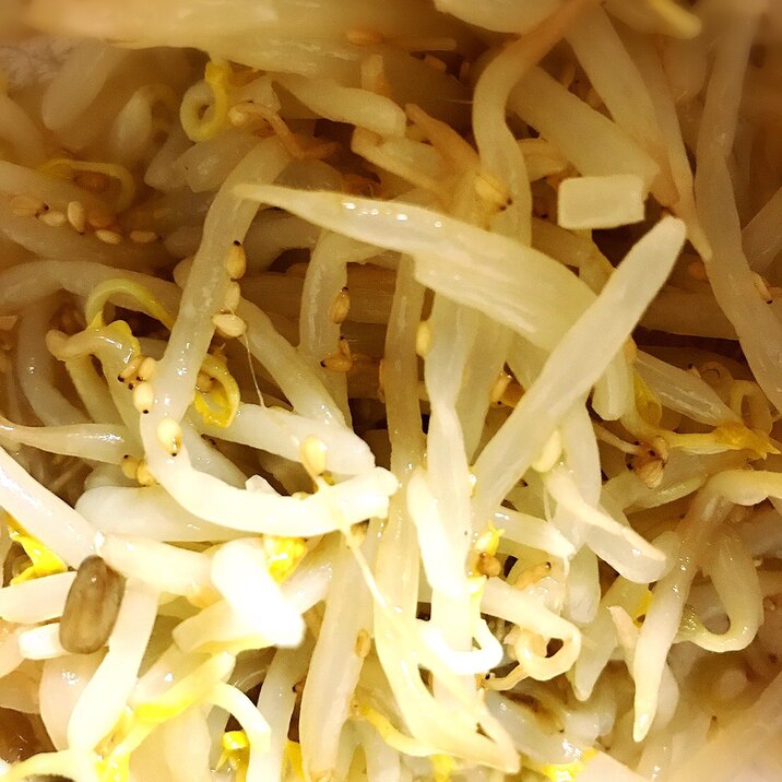 即席おつまみ もやしのナムル レシピ 作り方 By あいおうじ 楽天レシピ